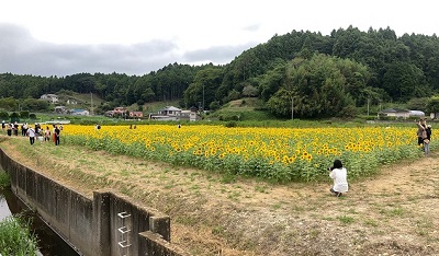 地域貢献（地域行事参画・現場見学会）